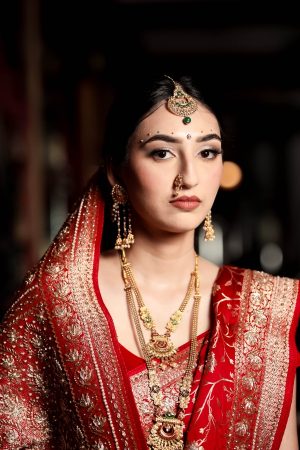 Red bridal saree with zari work